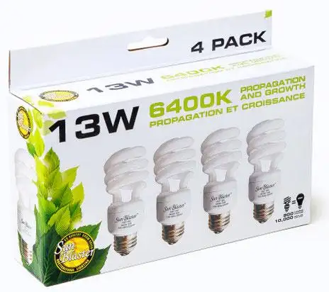 13W CFL 6400K