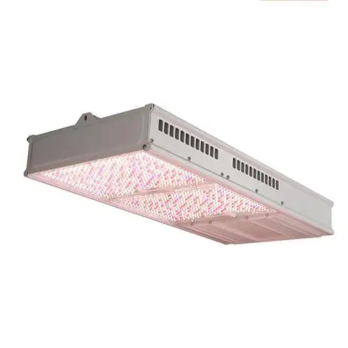 MP800 LED Toplight 800W