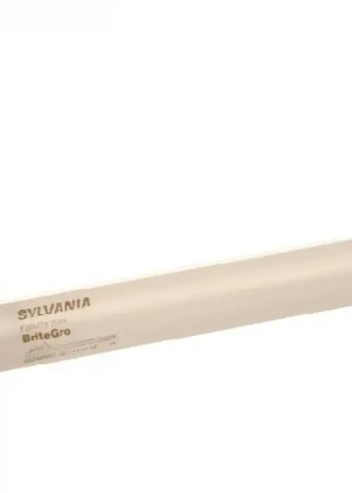 F36W/T8 Britegro