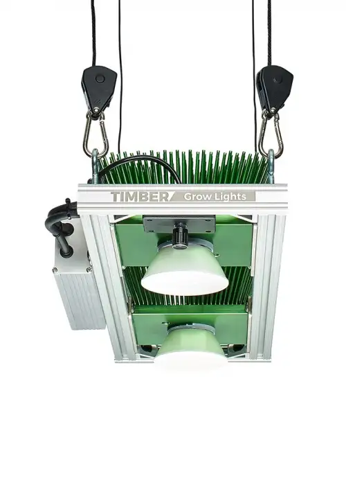 Model 2VL