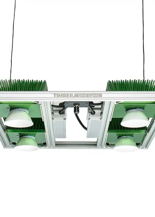 Model 4VS