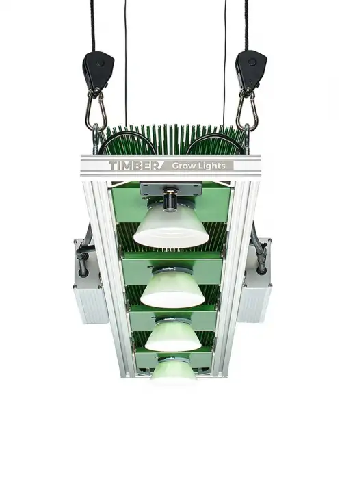 Model 4VL
