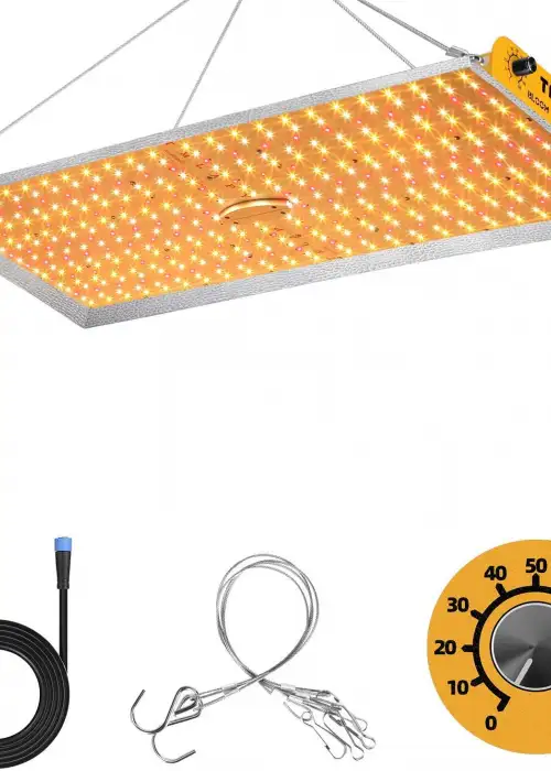 3000W Sunlike
