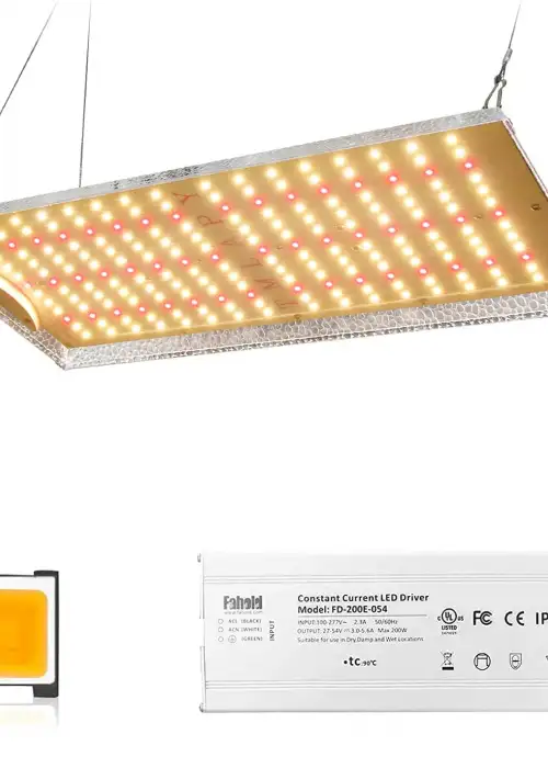 1000W Sunlike