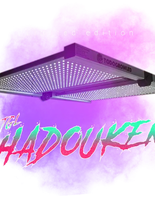 TGL Hadouken