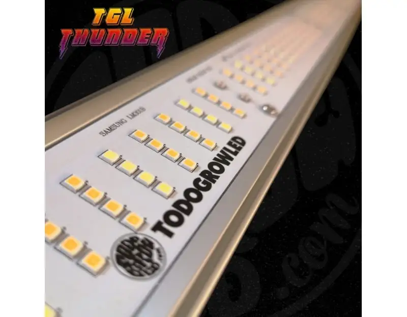TGL Thunder