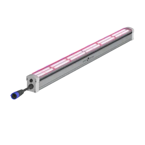 TotalGrow Undercanopy 150W Lights