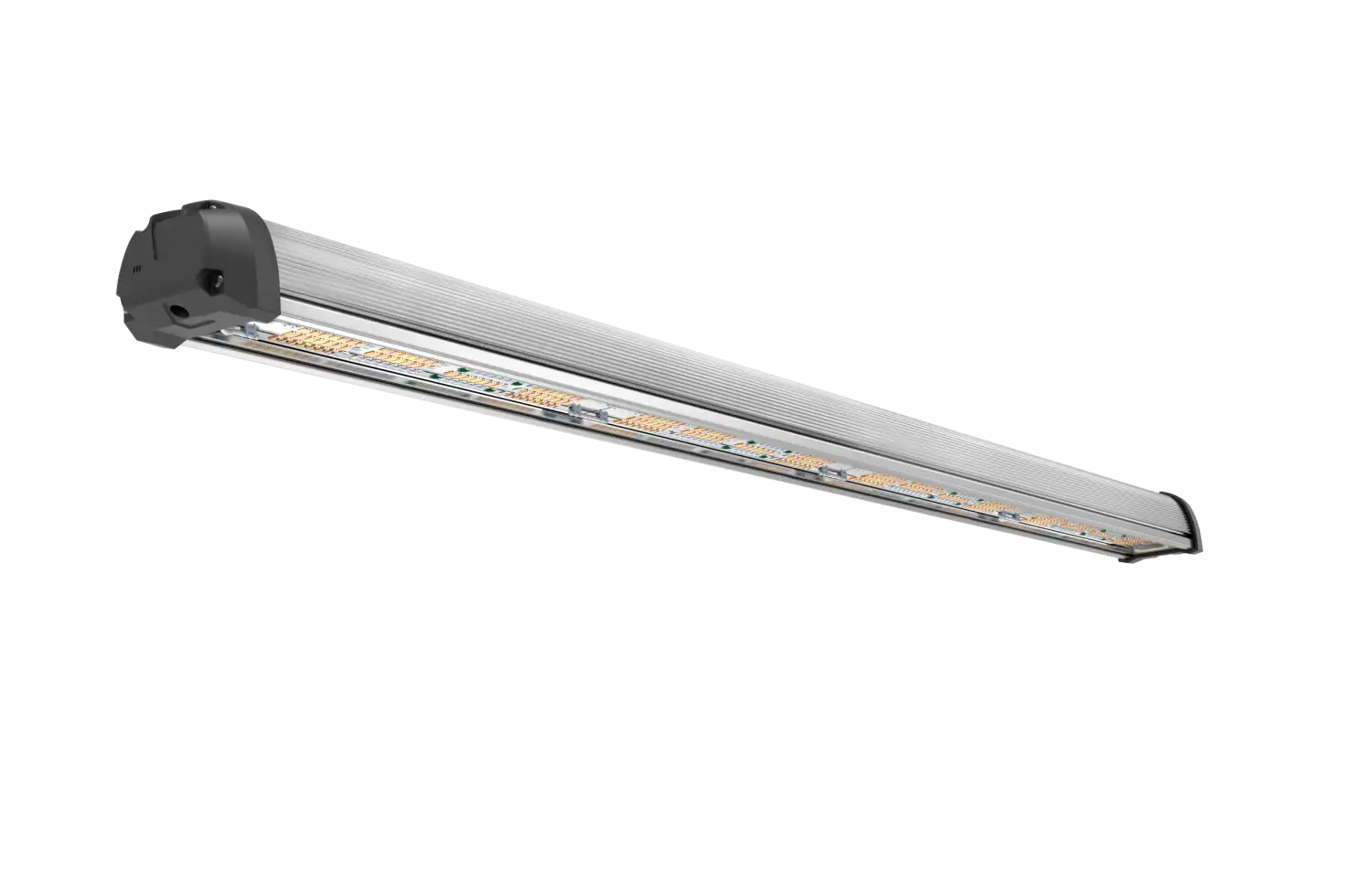 BX180-2ch (LightDNA 2-Channel)