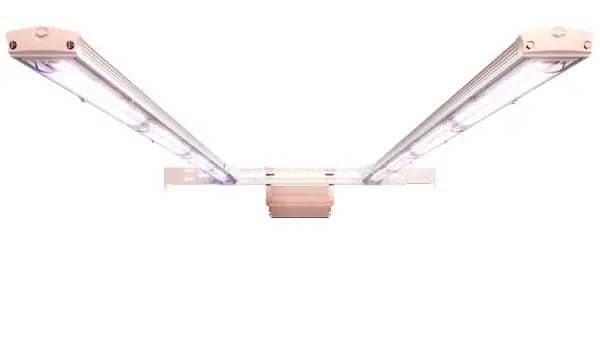 Arize Factor Series