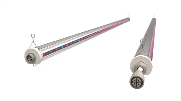 Arize Integral Series