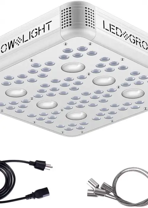 1200W Cree COB