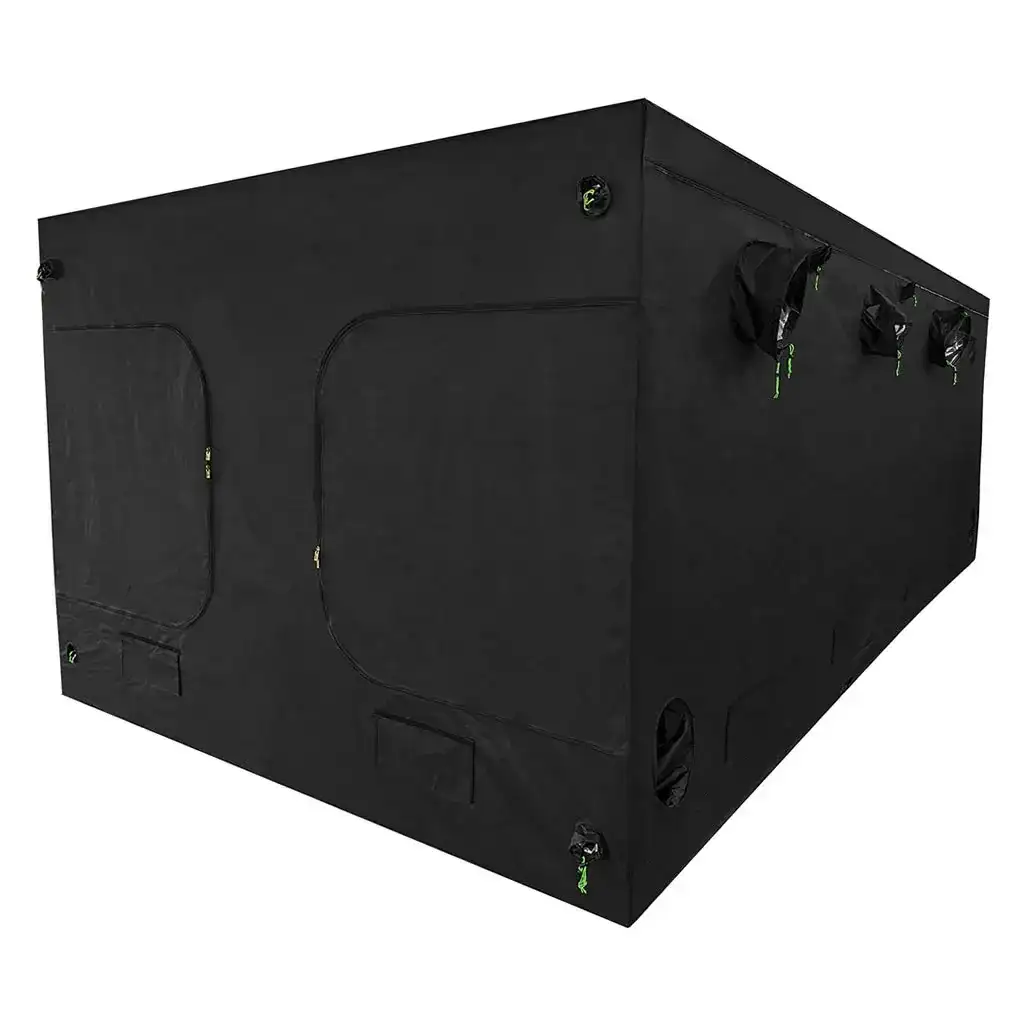 Tent 600 x 300 x 220 (With Wood Crate)