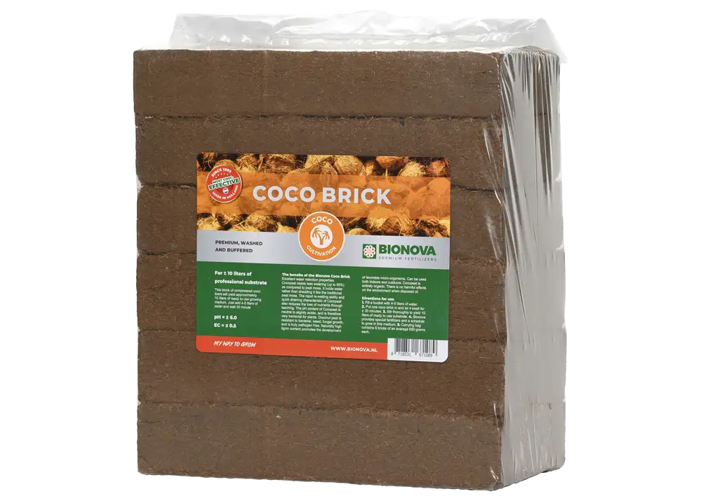 Coco Brick