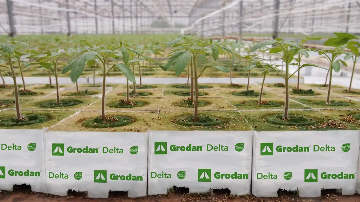 Grodan Delta NG2.0