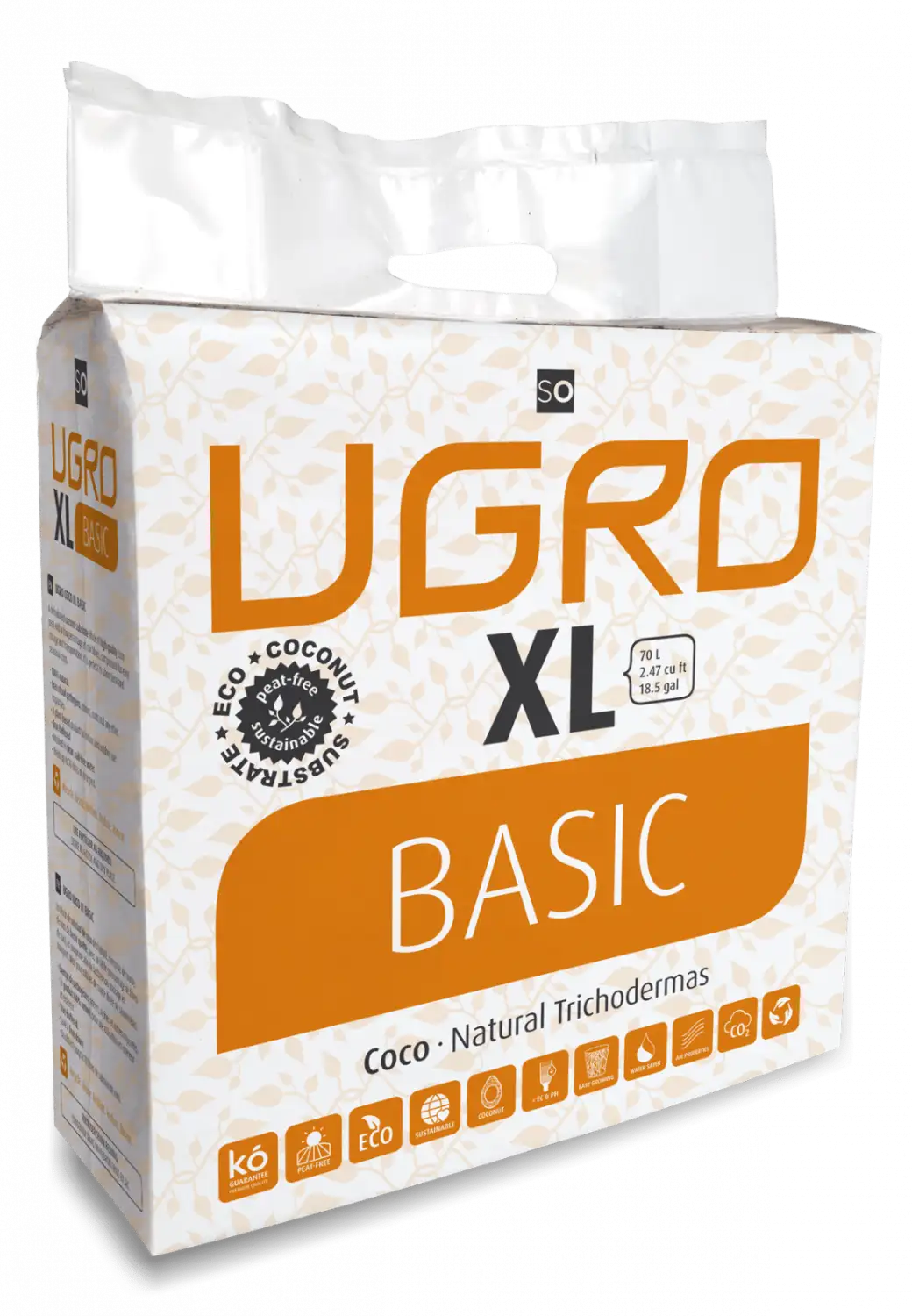 XL Basic