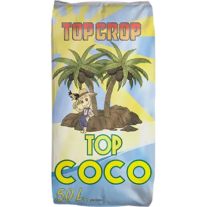 Top Coco