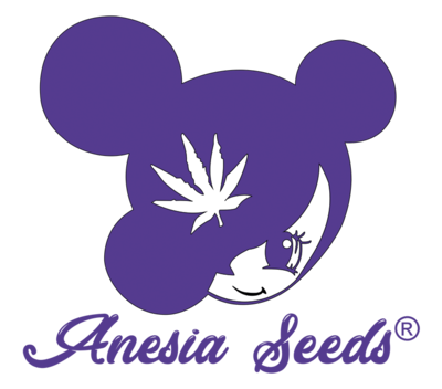 Anesia Seeds logo