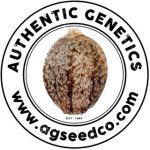 Authentic Genetics