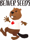 Beaver Seeds