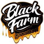 BlackFarm Genetix