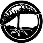 Bloom Seed Co