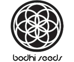 Bodhi Seeds