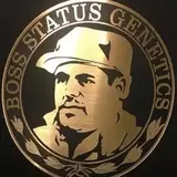 Boss Status Genetics