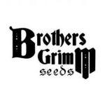 Brothers Grimm Seeds