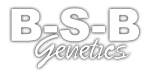 BSB Genetics
