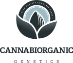Cannabiorganic genetics