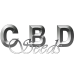 CBD Seeds