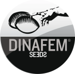 Dinafem