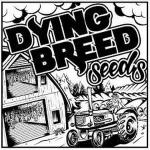 Dying Breed Seeds