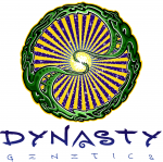 Dynasty Seeds