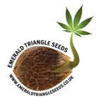 Emerald Triangle Seeds