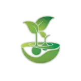Feminised Seeds Company
