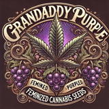 Grand Daddy Purp