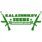 Kalashnikov Seeds