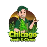 Marijuana Clones Online