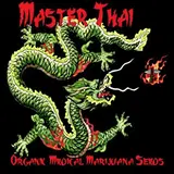 Master Thai