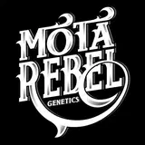 Mota Rebel Genetics
