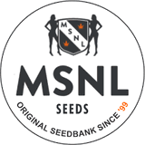 MSNL Seeds