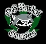 OG Raskal Genetics