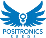 Positronics Seeds