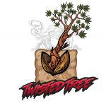 Twisted Tree Autoflowers