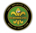 VIP Seeds