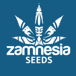 Zamnesia Seeds