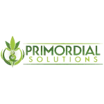 Primordial Solutions