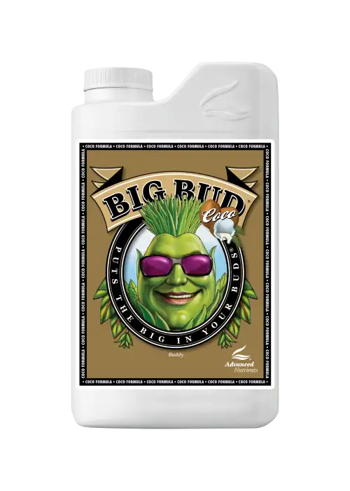 Big Bud Coco