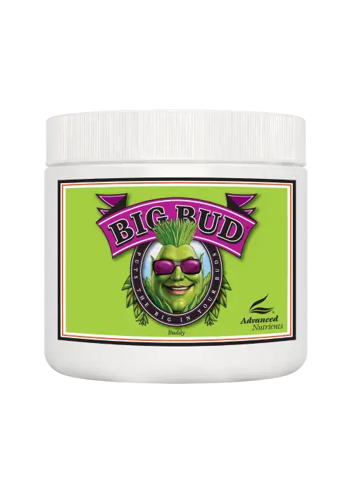 Big Bud Powder